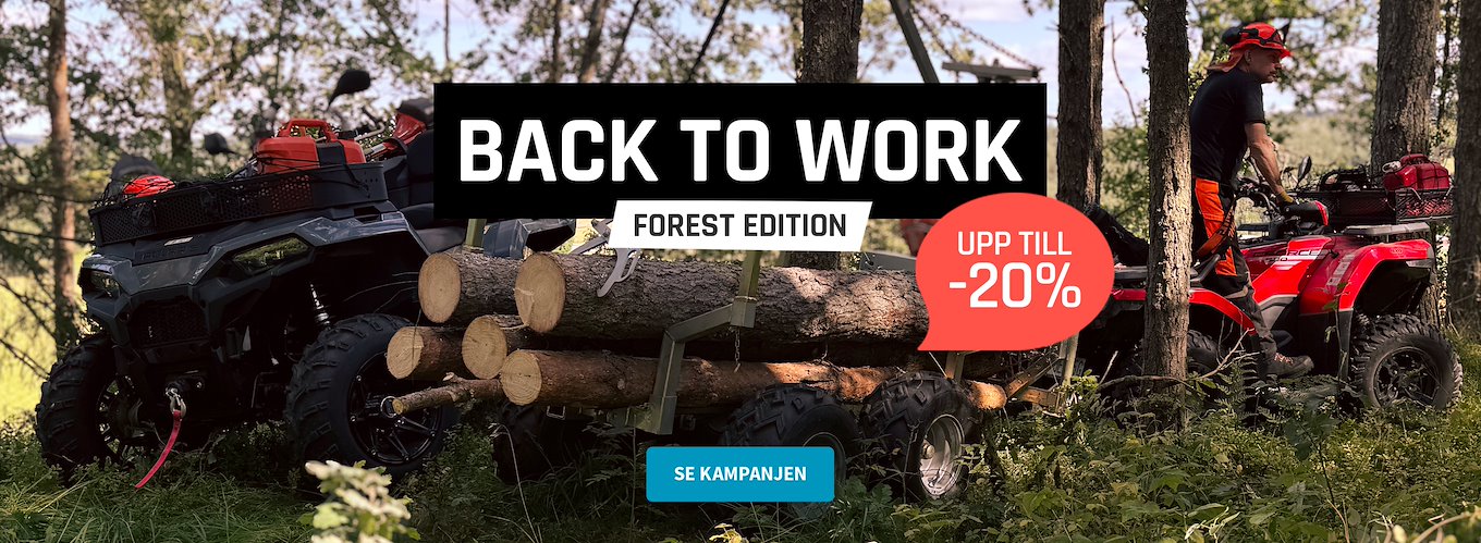 Back to Work – Forest Edition