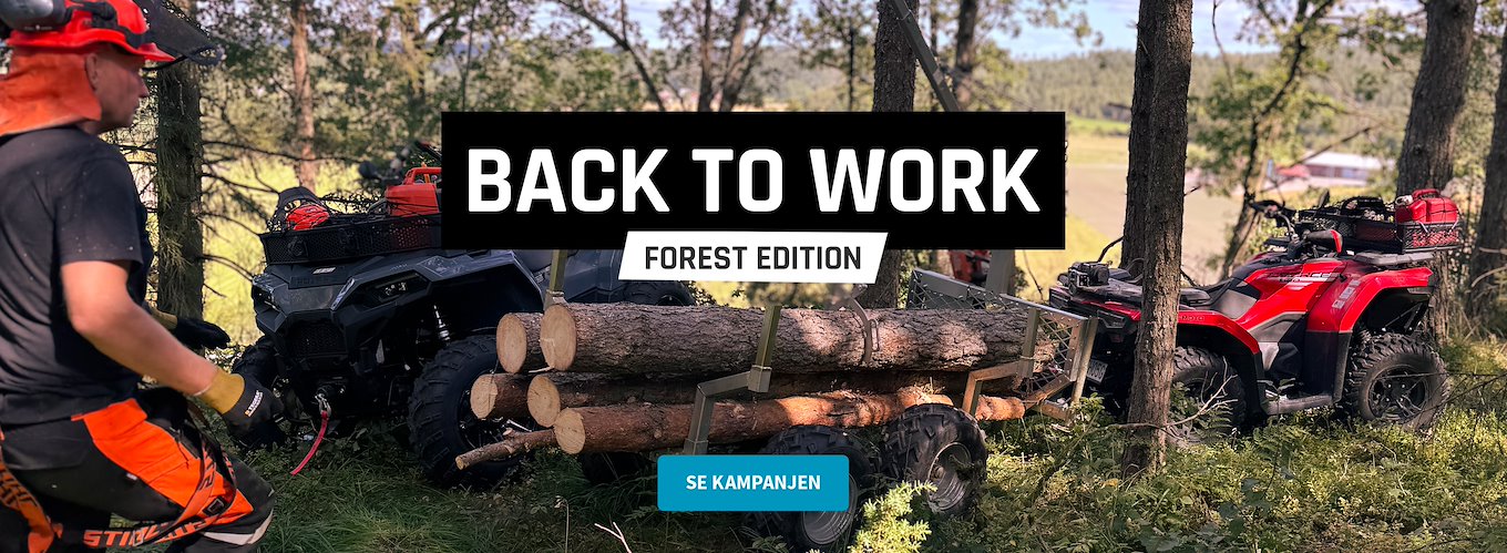 Back to Work – Forest Edition
