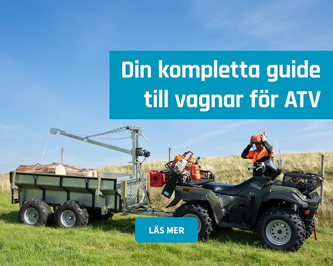 Vagnguiden