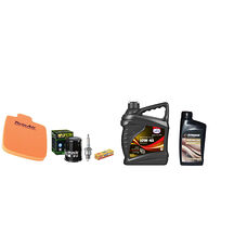 Servicekit Arctic Cat 650 08-09