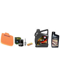 Servicekit Arctic Cat 650 09-12