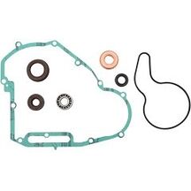 Vattenpumpsreparationssats Polaris Ranger/Sportsman 800 -11/15