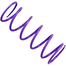 Fjäder till sekundärvariator Kawasaki Lila