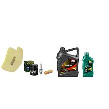 Servicekit Arctic Cat 650 04-07