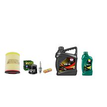 Servicekit Suzuki LT-A/F 400