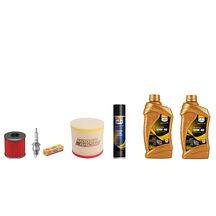 Servicekit Suzuki LTR 450