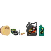 Servicekit Yamaha Kodiak 400 00-02