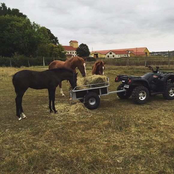 CARLMANS Carlmans Gårdsvagn 900 Exklusiv