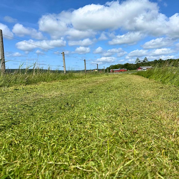ATV-PRO Slagstål Hammarslaga 28st med bult
