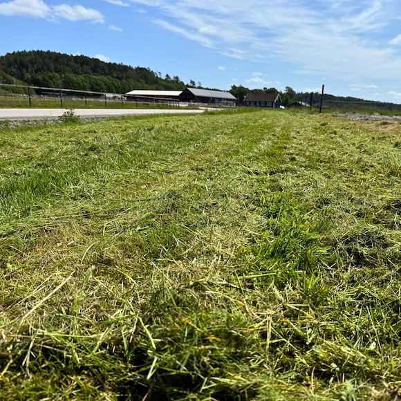 ATV-PRO Slagstål Y- Slagor