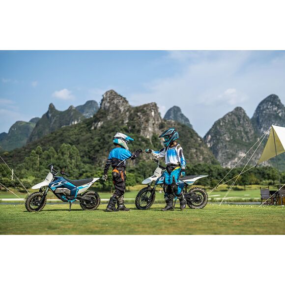 CF MOTO CF Moto CX-5E ELCROSS