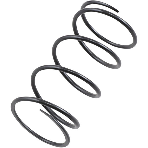 EPI Fjäder till Sekundärvariator Polaris med EBS