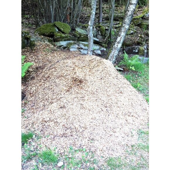 Iron Baltic (IB) Flismaskin / Flishugg PRO-14HP