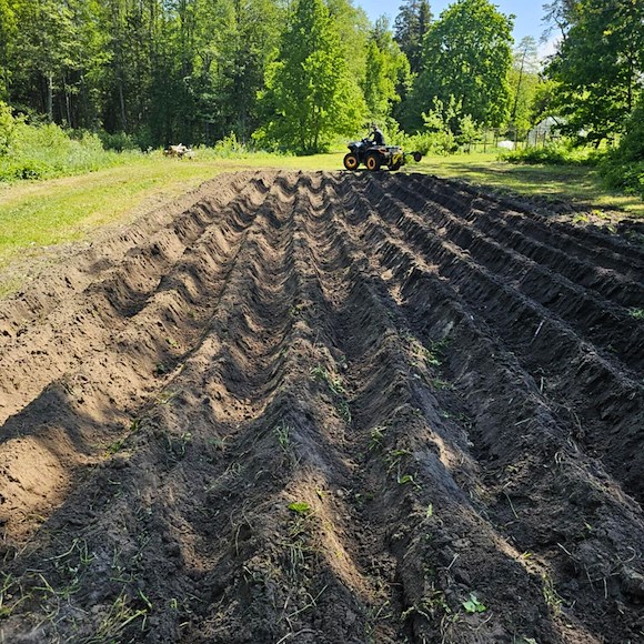 Iron Baltic (IB) Plogskär 2-sidigt för IB Redskapsbärare (G2)