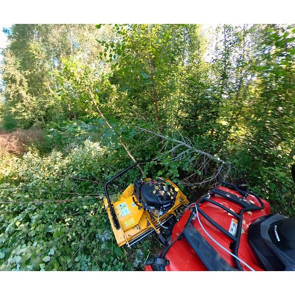 RAMMY Rammy ATV Brushcutter 115cm Briggs & Stratton Motor -RAMMY PROFESSIONAL SERIES