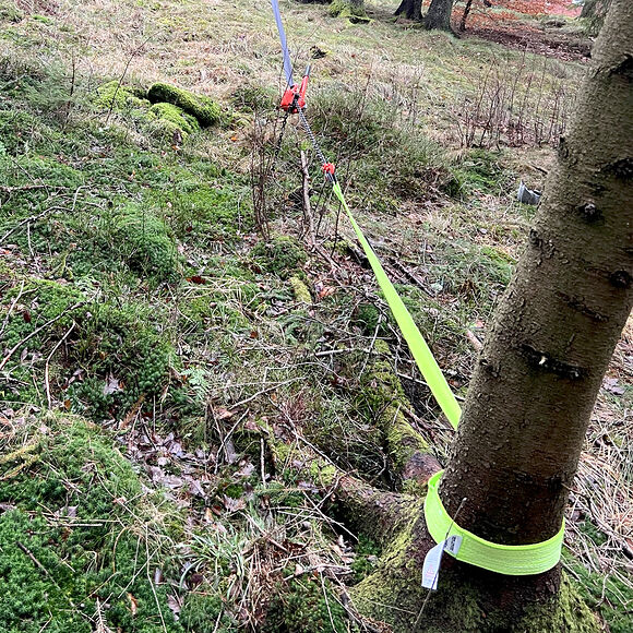 ROUGHWORX Dragstropp 3m x 75mm 12 Ton