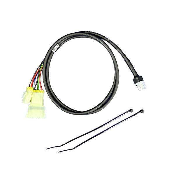 Healtech Speedohealer Kablage CF Moto 2024+