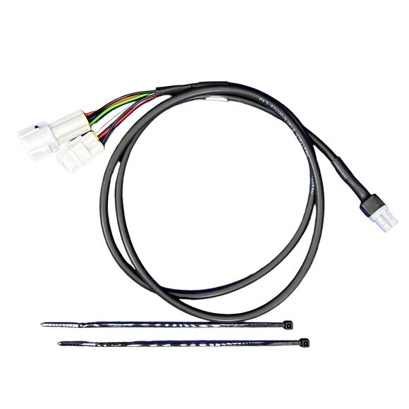 Healtech Speedohealer Kablage Yamaha