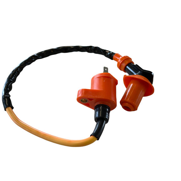 ATV LAB Tändspole ATV 50cc 90cc 125cc 150cc 200cc 250cc / Dirt bike