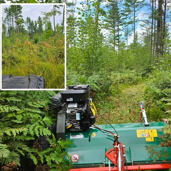 WESSEX Wessex AFR-160 Slaghack 23HP Briggs & Stratton 160cm