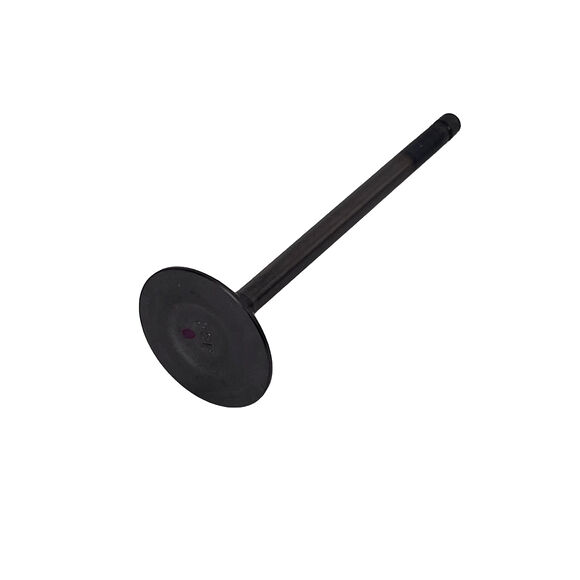 YAMAHA Insugsventil Yamaha