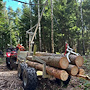 ATV-PRO ATV Timmervagn med Kran och Elvinsch