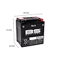 BS Batterier BS ATV Batteri BIX30L SLA 12V (YTX30)