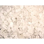 SNOWEX Snowex Helixx UTV Salt/Sandspridare 268L